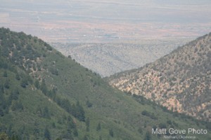 Picture 57