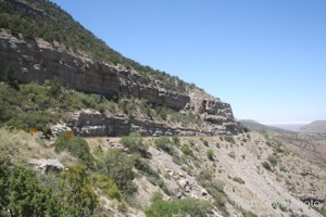 Picture 65