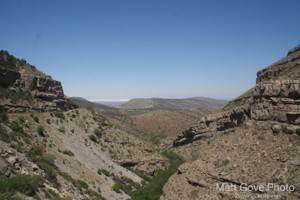 Picture 66