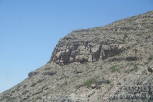Picture 81