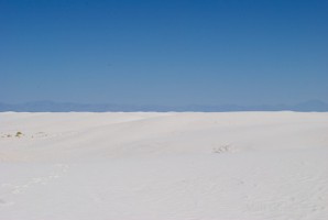 Picture 30