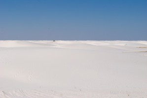 Picture 38