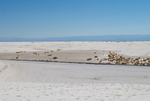 Picture 45
