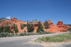 Picture 41