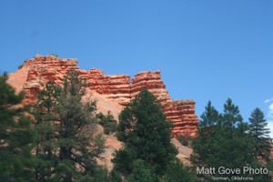 Picture 46