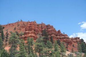 Picture 48
