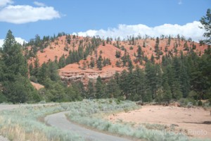 Picture 50
