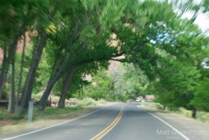 Picture 1