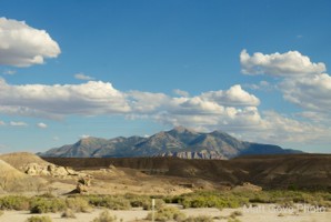 Picture 31