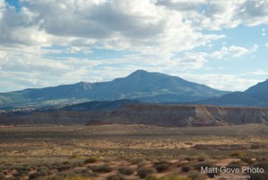 Picture 39
