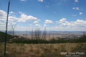 Picture 19