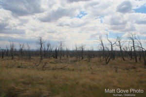 Picture 28