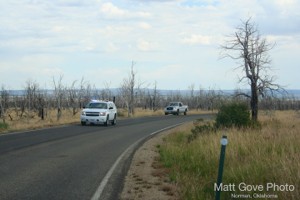 Picture 30
