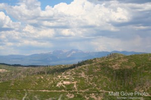 Picture 50
