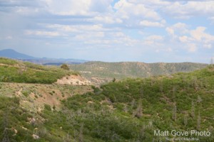 Picture 56