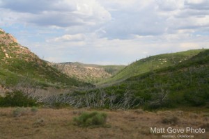 Picture 64