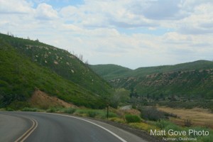 Picture 8