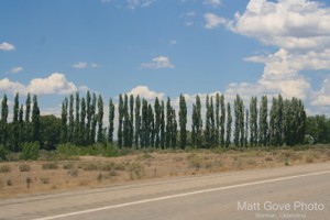 Picture 10