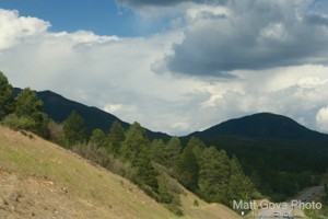 Picture 30