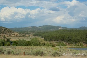 Picture 35