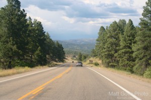 Picture 36
