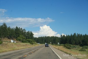 Picture 39