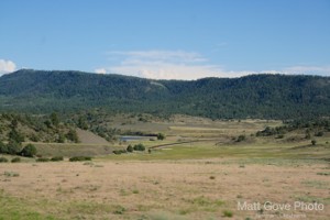 Picture 44