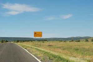 Picture 1
