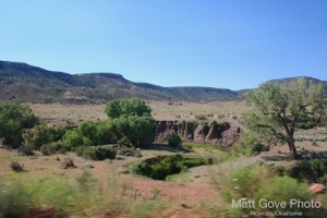Picture 19