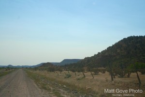 Picture 21