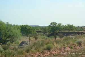 Picture 24
