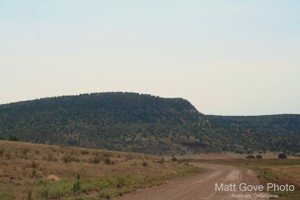 Picture 38
