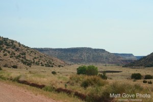 Picture 42