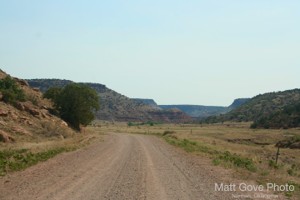 Picture 46