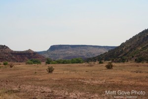 Picture 51