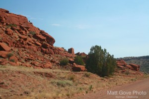Picture 52