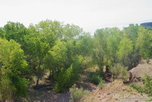 Picture 62