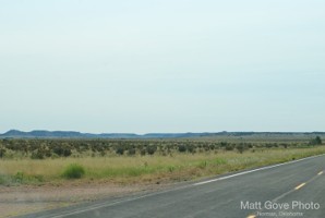 Picture 80