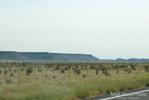 Picture 81