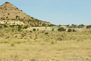 Picture 1