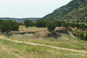 Picture 19