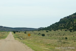 Picture 20