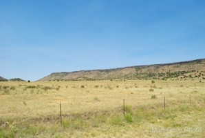 Picture 31