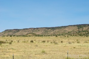 Picture 32