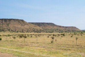 Picture 34