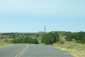 Picture 41