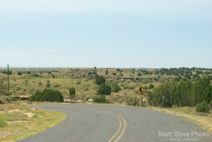 Picture 42