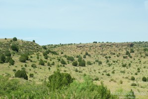 Picture 47