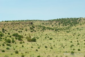 Picture 48