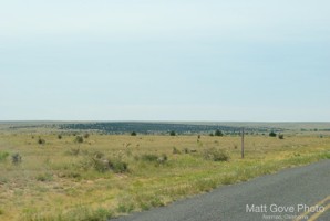 Picture 49